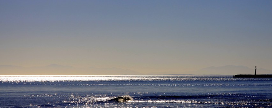 Scenic view of glistening blue water and horizon.